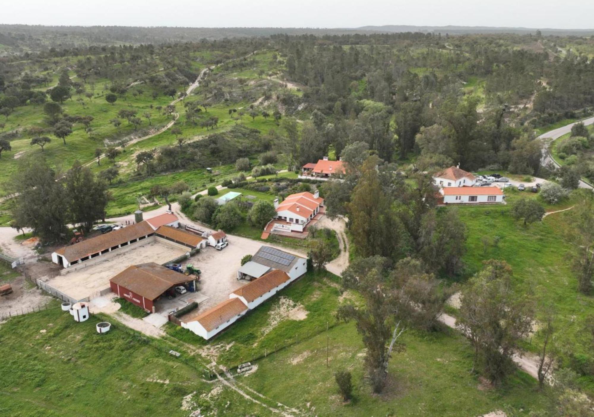 Monte Do Areeiro Villa Коруши Екстериор снимка